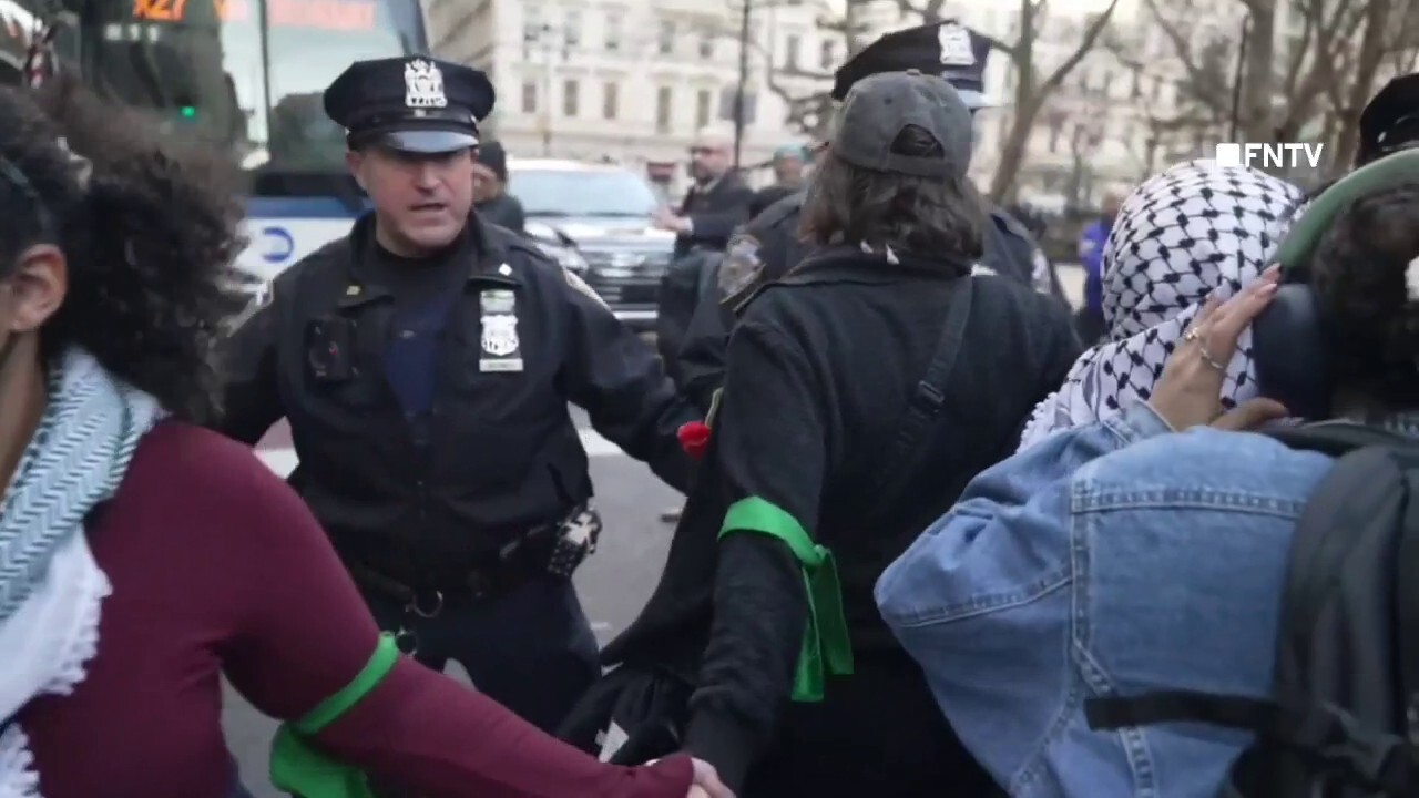 Pro-Palestinian protesters clash with NYPD officers as anti-Israel activist faces deportation