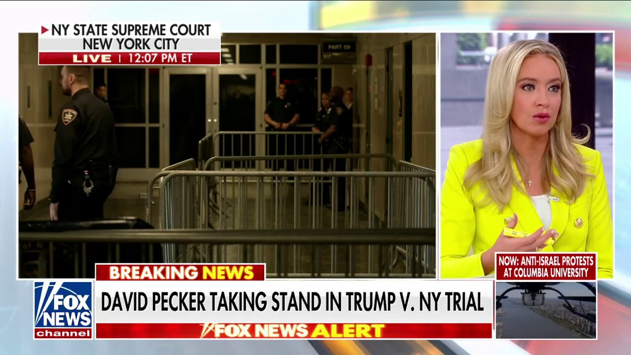Kayleigh McEnany: Media's coverage of Trump trial could 'backfire' on the Democrats
