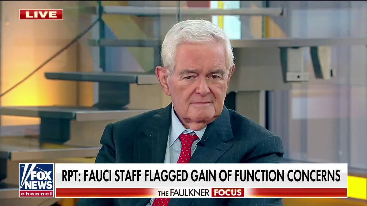 Newt Gingrich blasts 'dishonest' Fauci: He hides behind word games