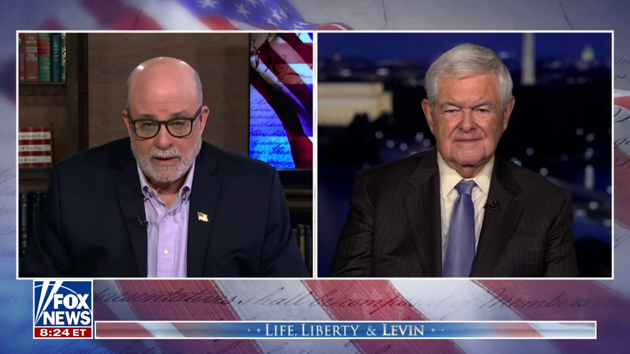 Newt Gingrich: This is 'exactly' what the Founding Fathers were worried about