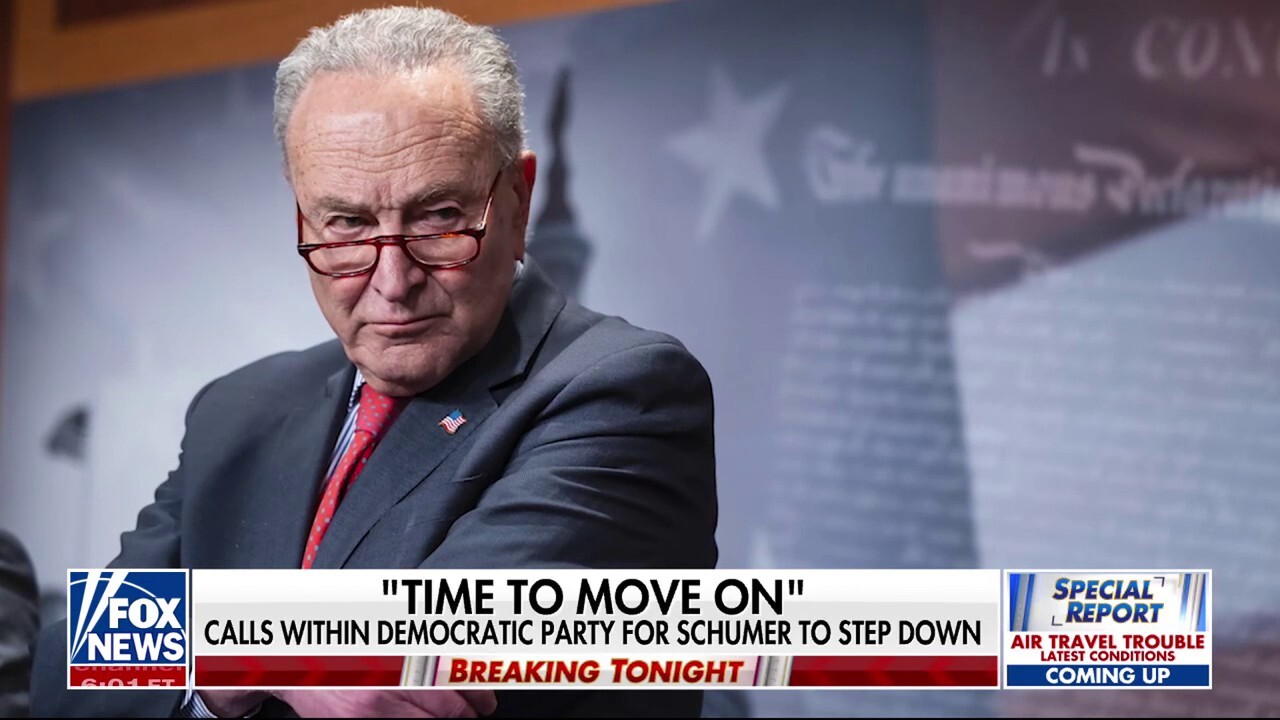 Democratic Party members call for Schumer to step down after healthcare fight