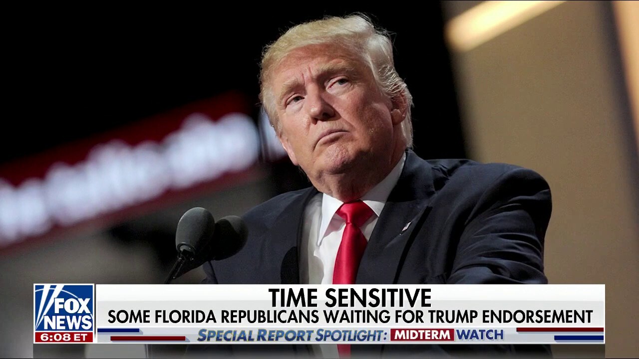  Florida Republicans voice Trump support ahead of midterms