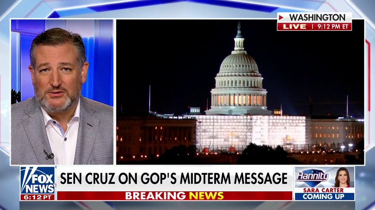 Sen. Ted Cruz on GOP's midterm message