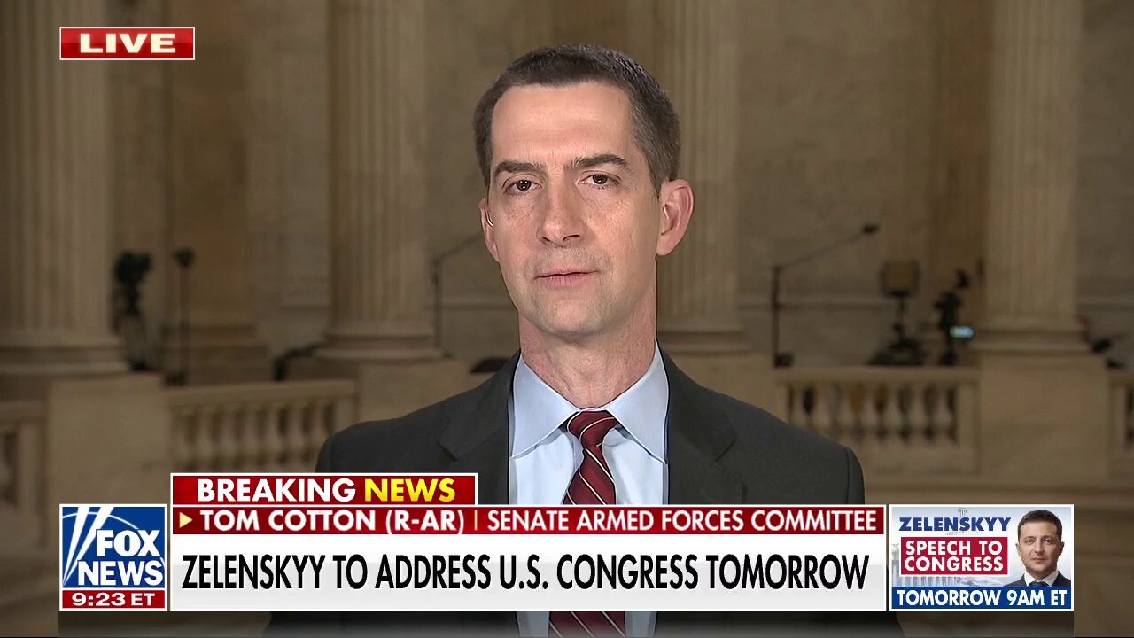 Cotton warns US against allowing Putin to 'set the terms' of support for Ukraine: 'We could be doing more'