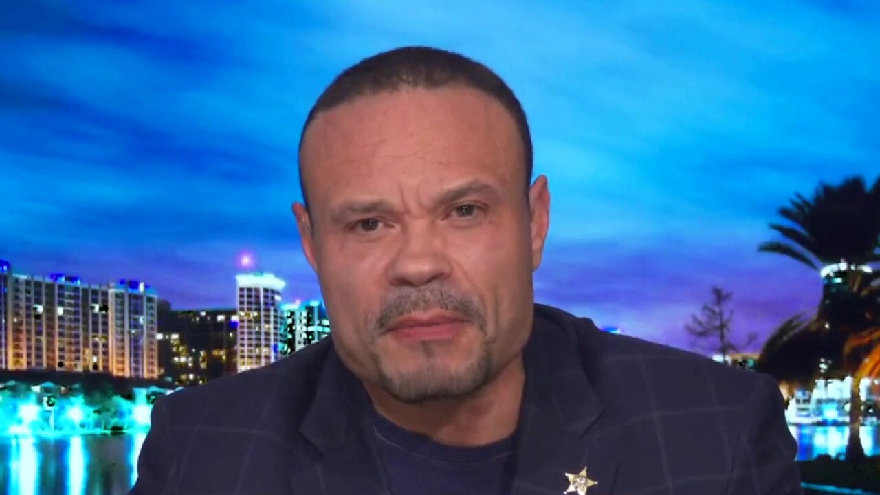 Dan Bongino slams radical-left lawmakers who use cops as political punching bags