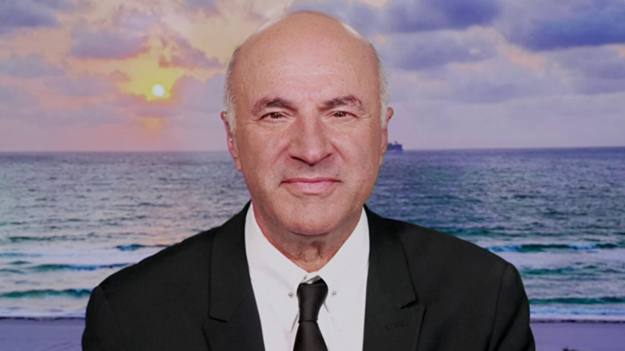 Kevin O'Leary says TikTok will not be banned: 'Somebody's gonna buy it'