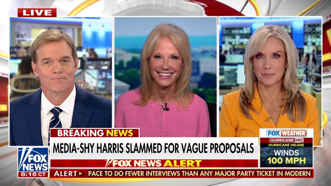 Kellyanne Conway: Kamala Harris cannot articulate a vision for the economy