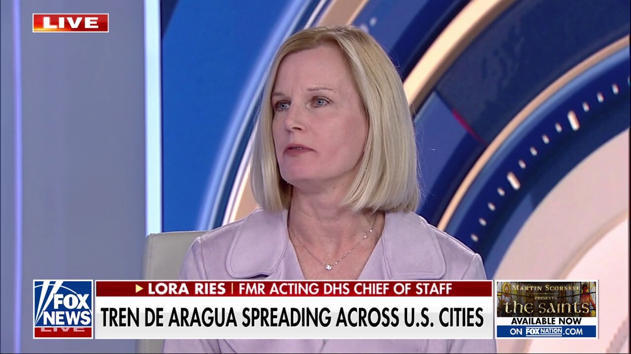 Tren de Aragua is 'wholly an issue' created by Biden admin, says ex-DHS official