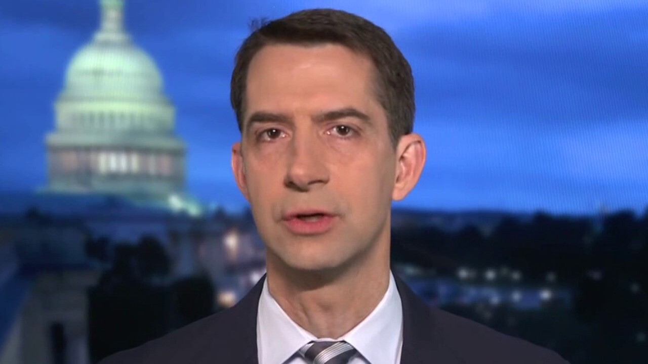 Sen. Tom Cotton: Stimulus bill breakdown shows ‘the swamp’ is looking after itself