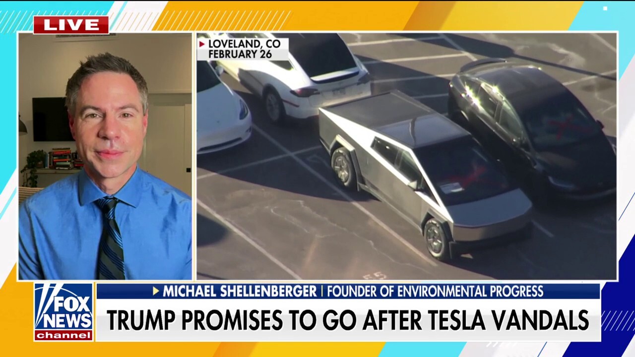 Environmental Progress founder rips Tesla vandals: 'Democrats are really lost'