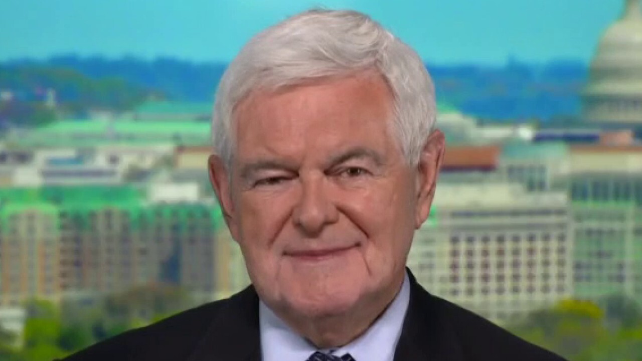 Newt Gingrich: COVID-19 ‘almost certainly’ came from the Wuhan lab 