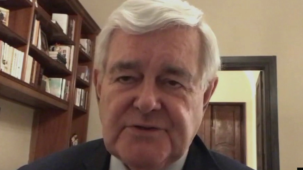 Newt Gingrich 'furious' after Capitol Hill violence: 'Destructive barbarians' should be locked up