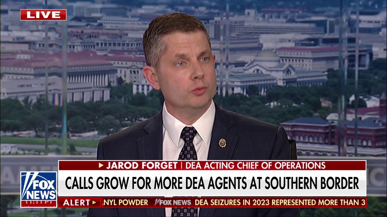 DEA official responds to calls for more southern border agents