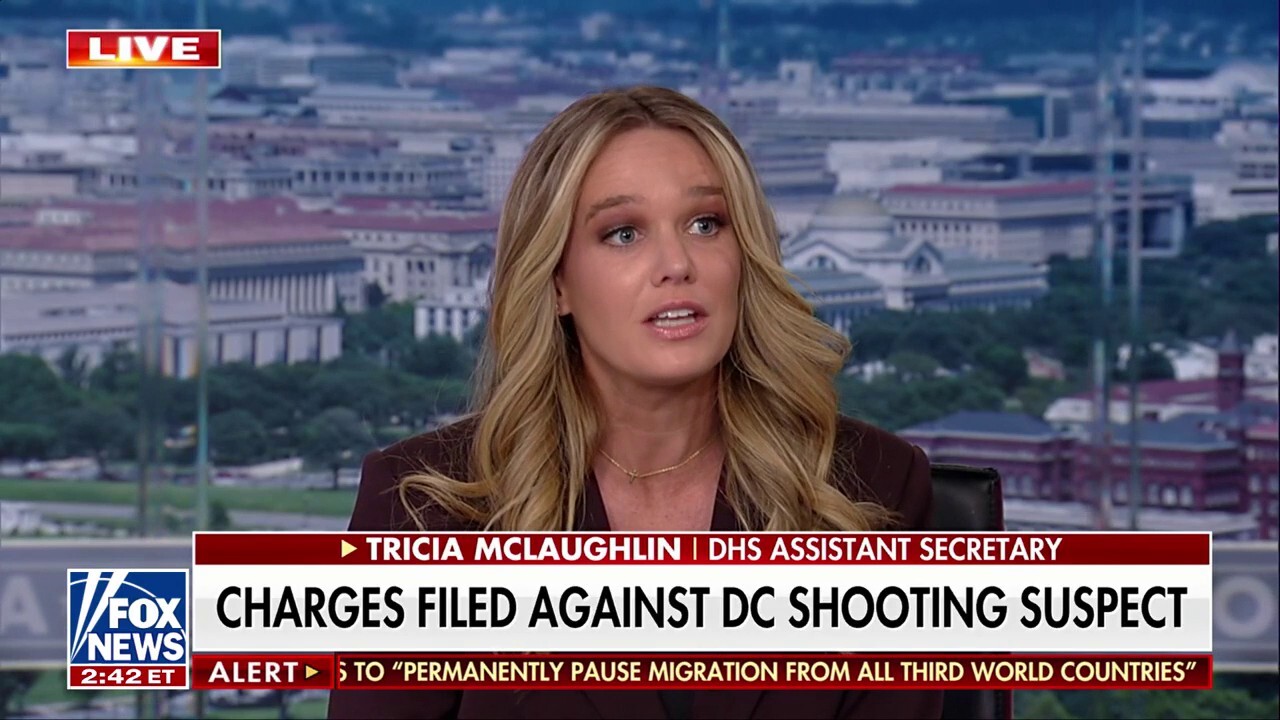 It 'can't be overstated' how much the Biden admin put US 'in danger': Tricia McLaughlin