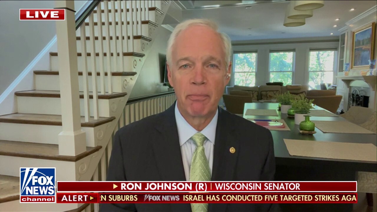 Sen. Ron Johnson: The Russia-Ukraine war will only end with a 'settlement'