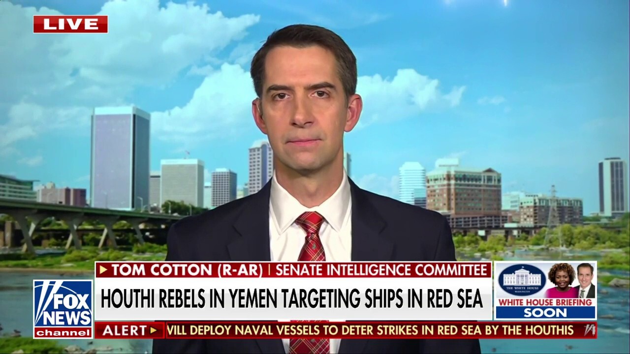 Military response to Red Sea attacks is ‘long overdue’: Sen. Tom Cotton