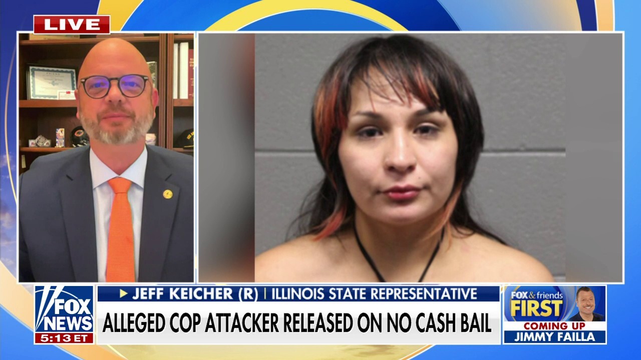 Alleged cop attacker released under new Illinois no cash bail law Fox