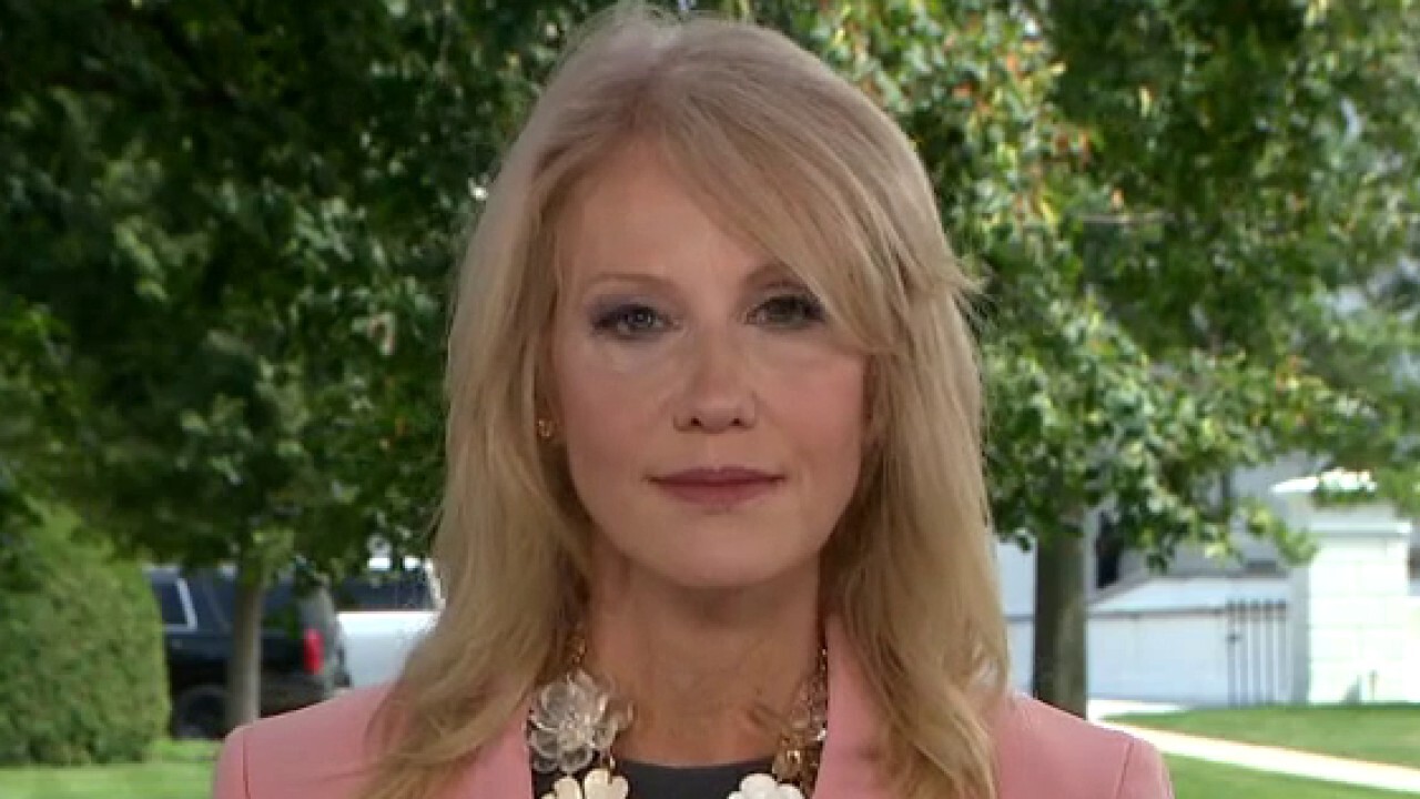 Kellyanne Conway weighs in on DNC, Trump’s pandemic response and previews RNC 