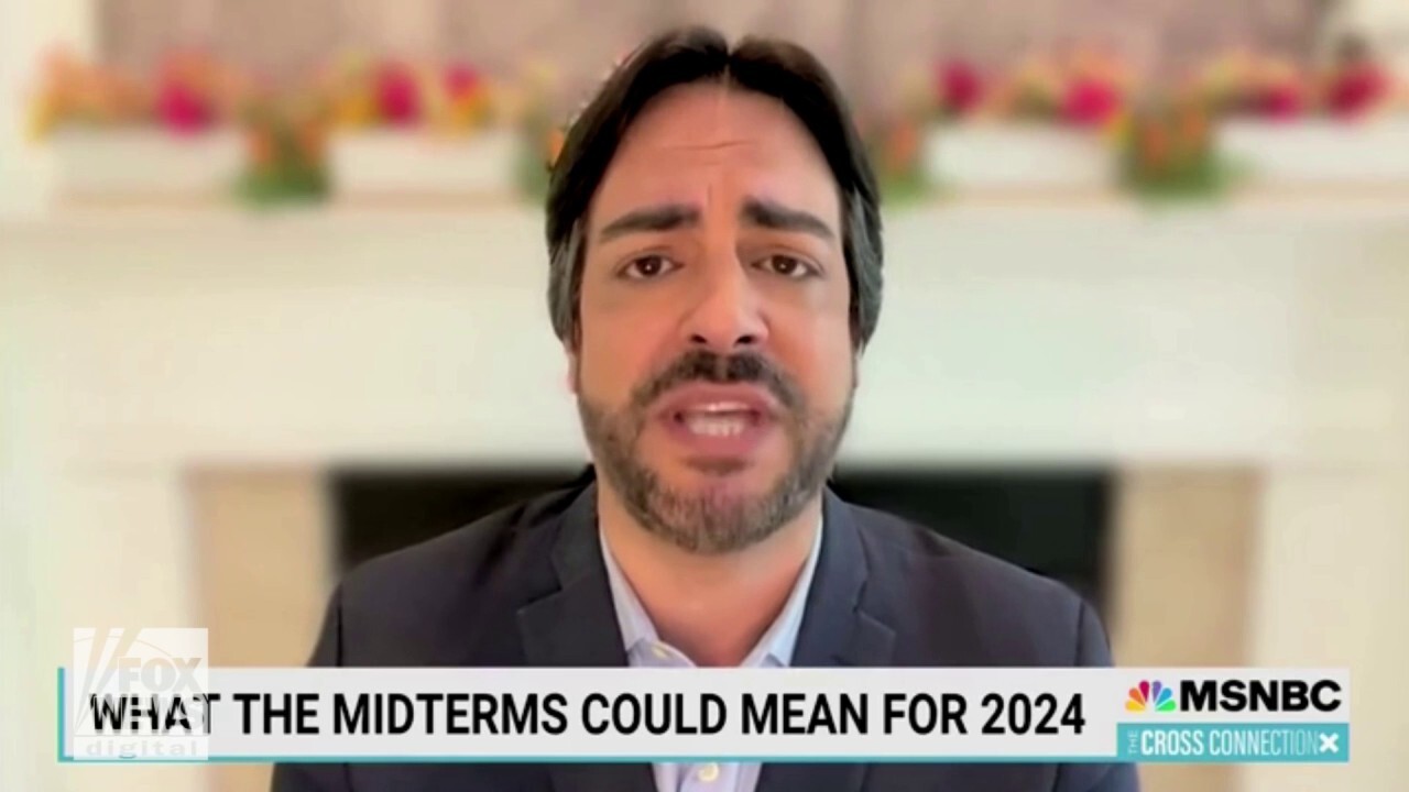 MSNBC political strategist says if Dems lose midterm elections, they're "turning over democracy"