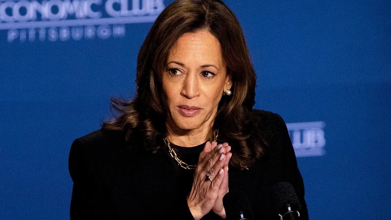 Democratic pollster argues Kamala Harris needs to create 'contrast' after her momentum 'died'