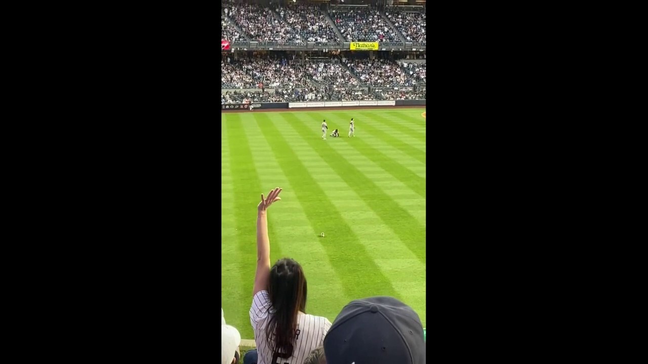 Squirrel runs across outfield at Yankee Stadium
