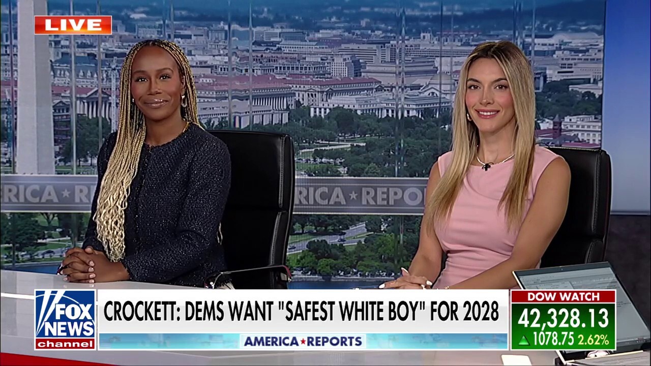 Democrats' passion comes from urgency, not malice, former Biden official says