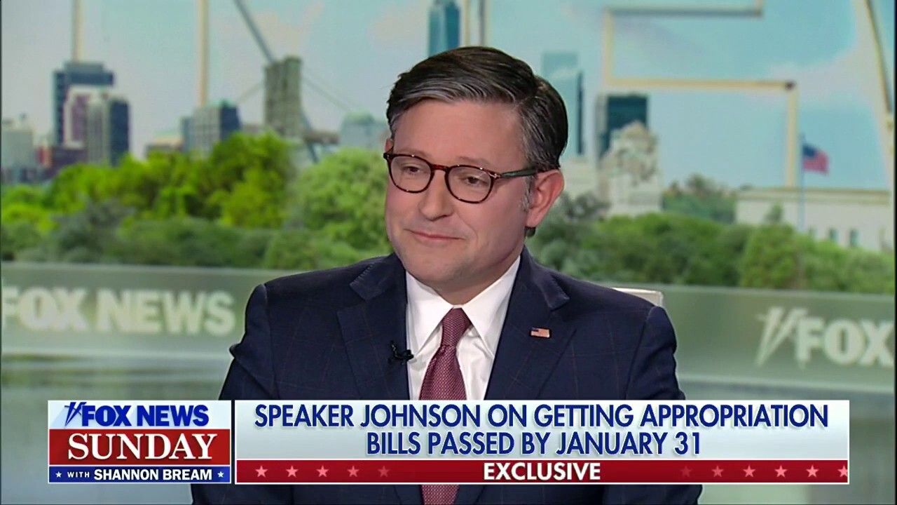 House Speaker Mike Johnson discusses ending the government shutdown, the path forward on appropriations and the fallout from the Epstein files during ‘Fox News Sunday.’