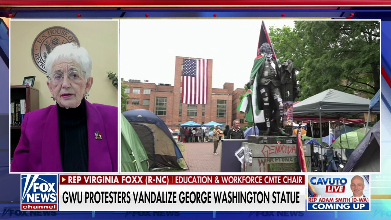 Violence, vandalism on US campuses is 'absolutely disgusting': Rep. Virginia Foxx
