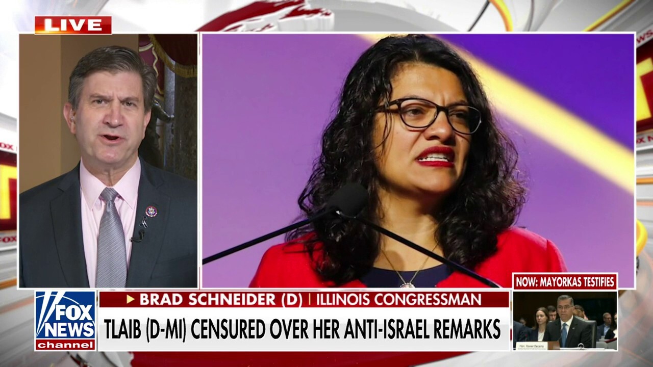 Jewish Democrat sides with Republicans on Tlaib censure: 'Record needs to be corrected'