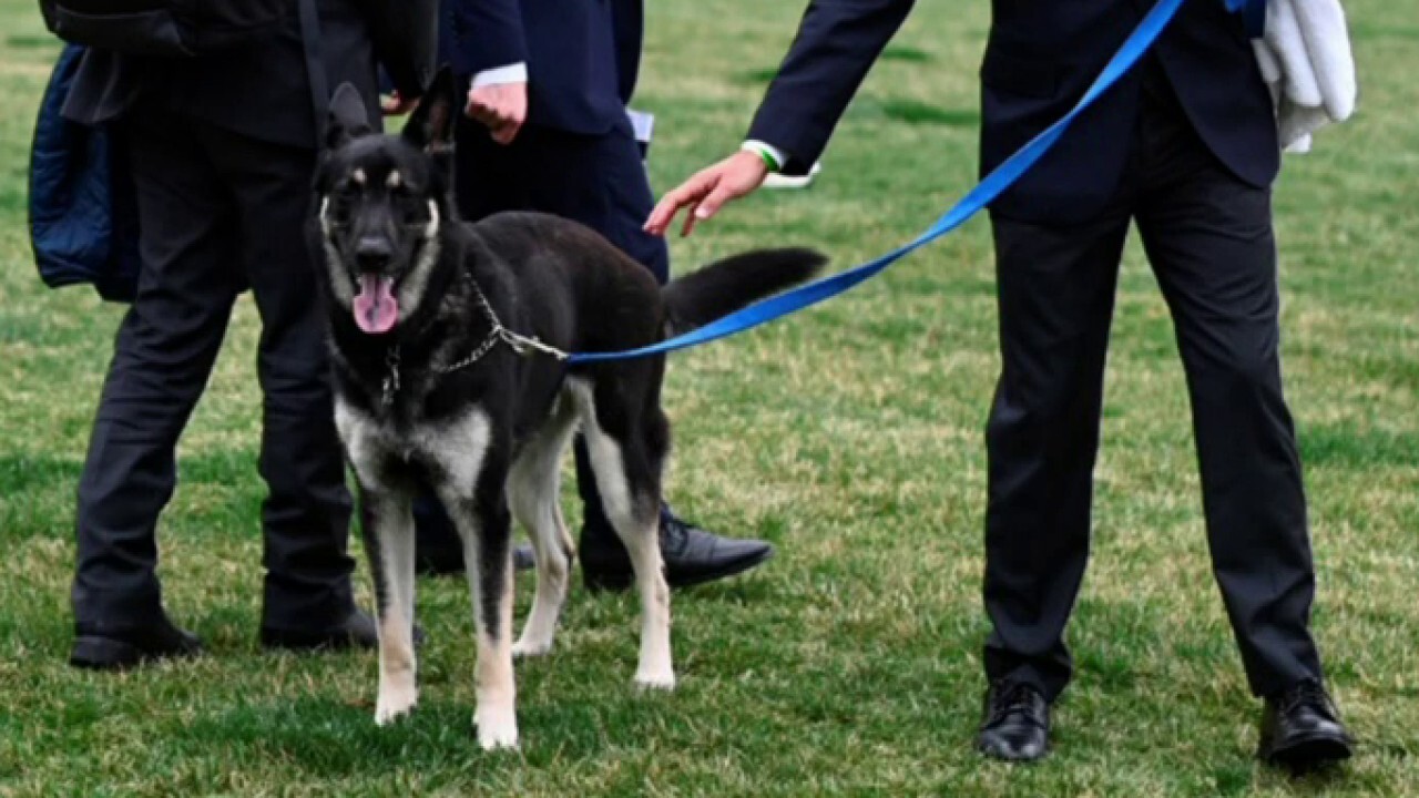 White House pool note reports 'dog poo' found in front of Diplomatic Room