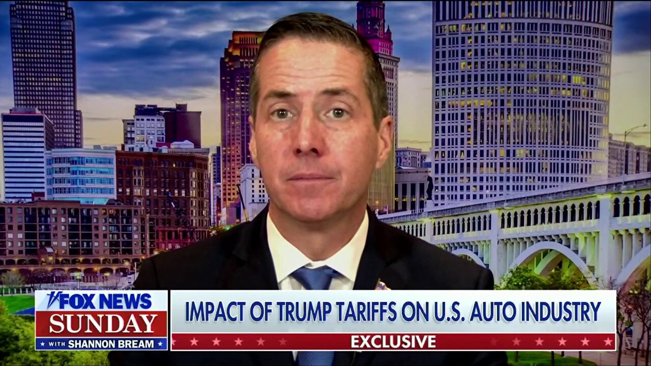 GOP lawmaker says he doesn’t think Trump tariffs will ‘plunge’ US economy into recession