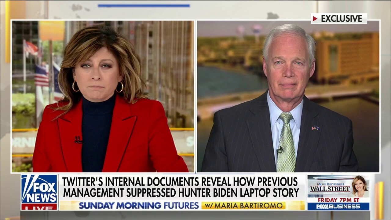 A 'much, much larger story' behind Twitter revelations: Sen. Ron Johnson