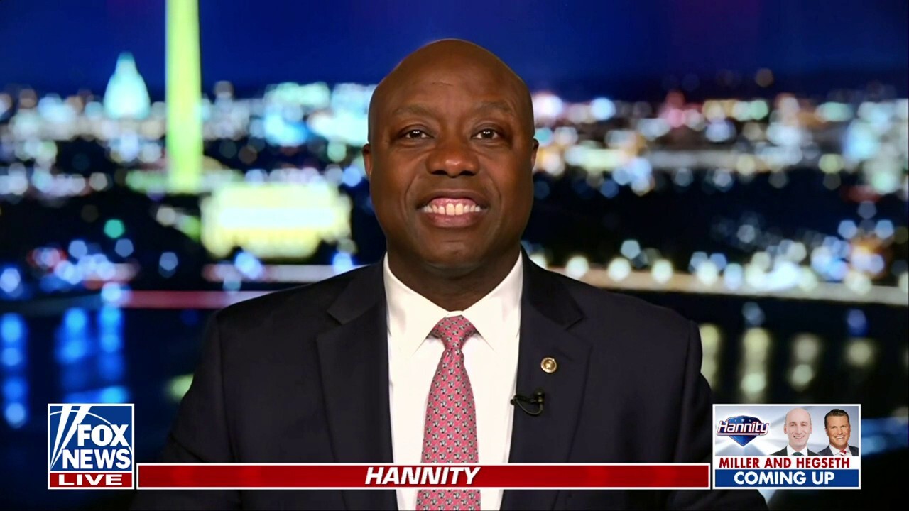 Sen Tim Scott: Dems 'lost their minds because they're losing their voters'