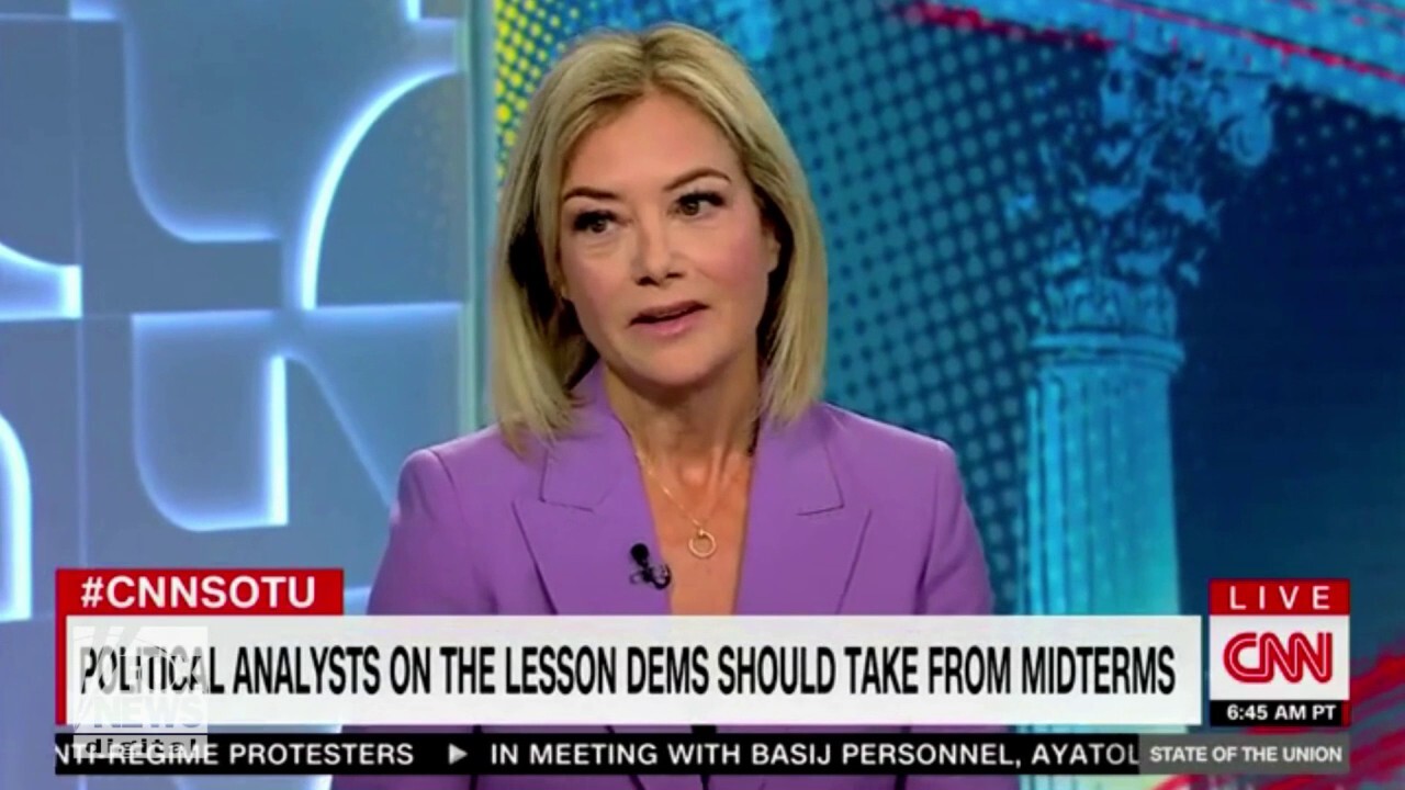 CNN political commentator says Democrats have 'nothing to celebrate' after midterms