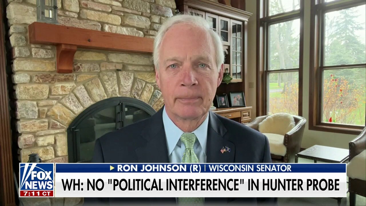 The lies the Biden admin have been telling us are outrageous: Ron Johnson