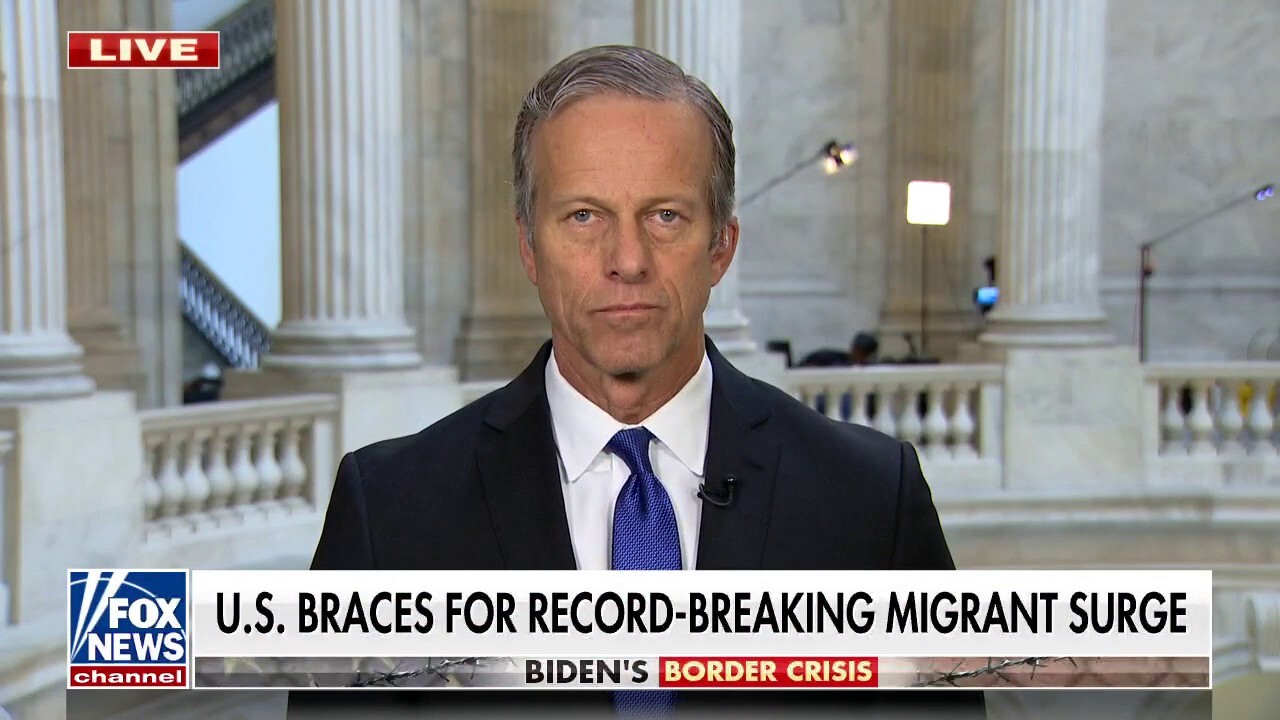 Scrapping Title 42 will cause 'absolute insanity' at the border: Sen. John Thune