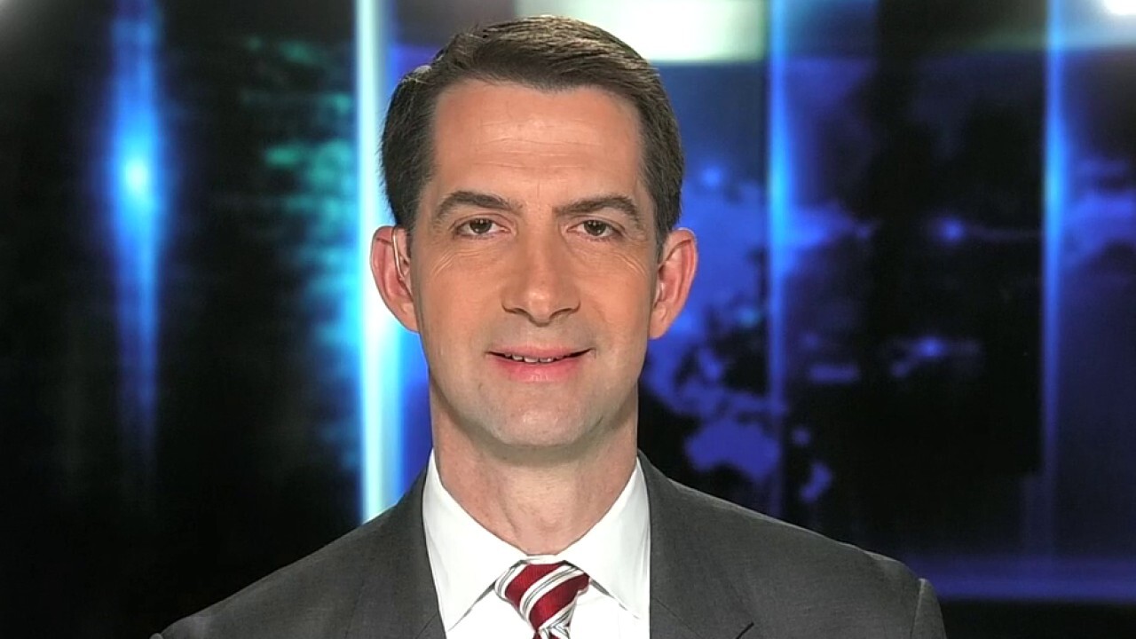 Sen. Cotton: We will support our doctors, but Pelosi won't get 'ideological wish list' 