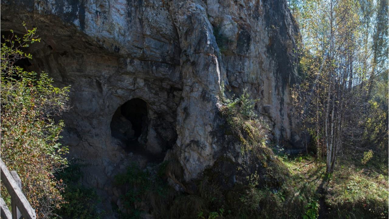 Extinct human species lived together in Siberian cave, new research shows