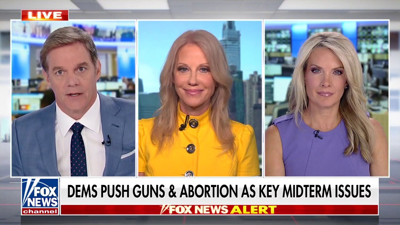 Kellyanne Conway: Potential overturn of Roe v. Wade will require state legislators to act
