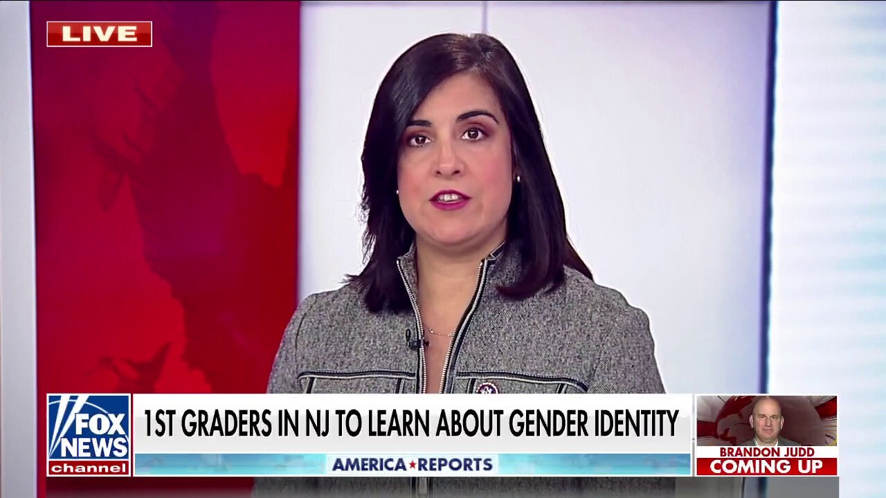 Democrats will learn their lesson when voted out: Rep. Malliotakis