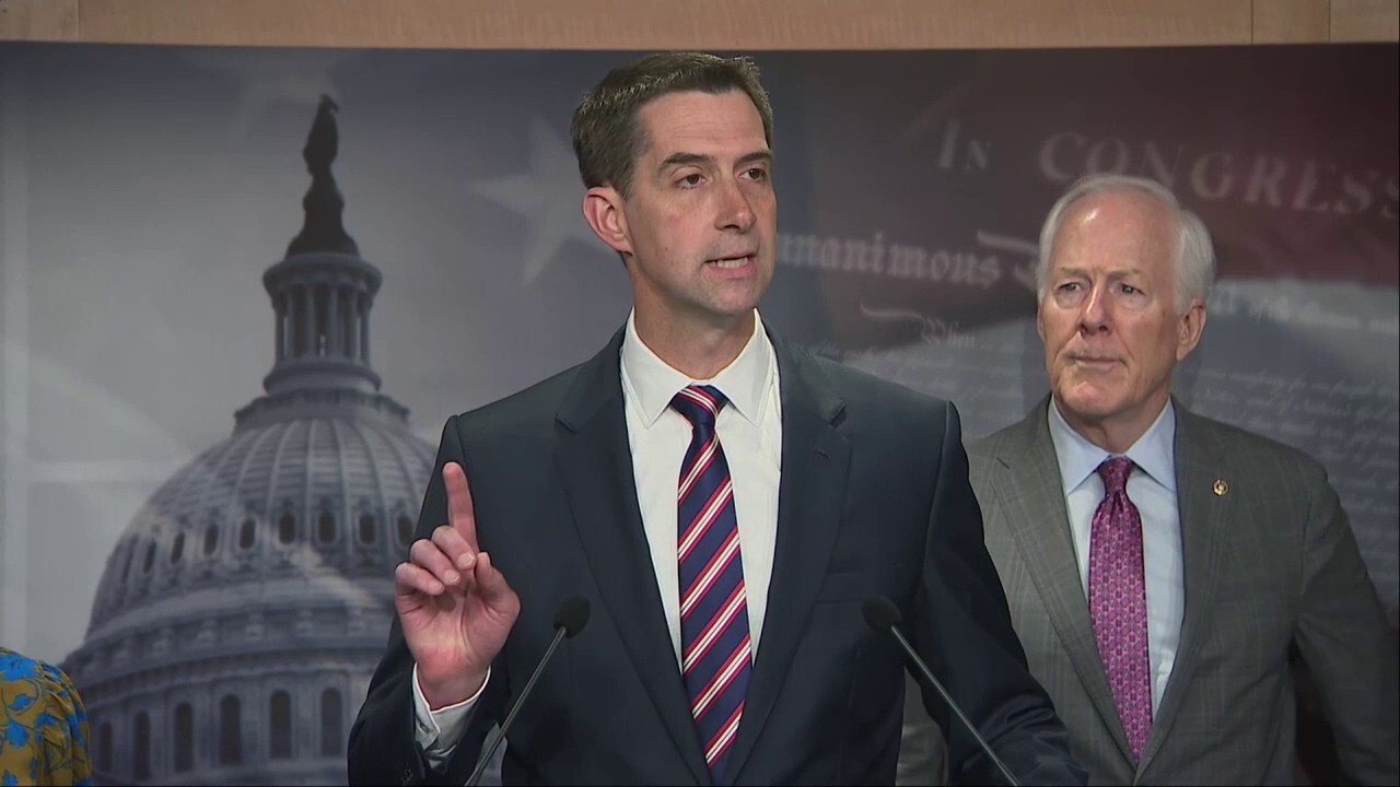 Sen. Tom Cotton slams 'fanatics and freaks' leading anti-Israel protests on US college campuses