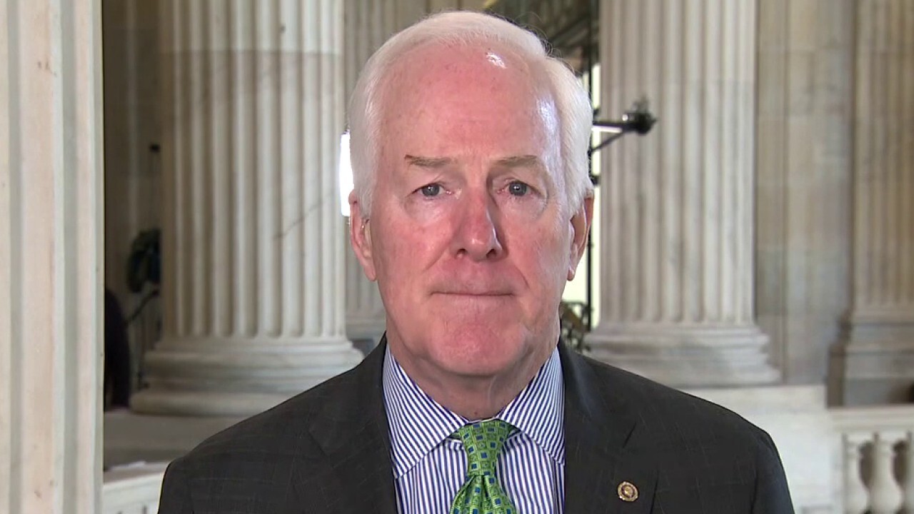 Biden will have to choose between 'science or teachers unions' on reopening schools: Cornyn