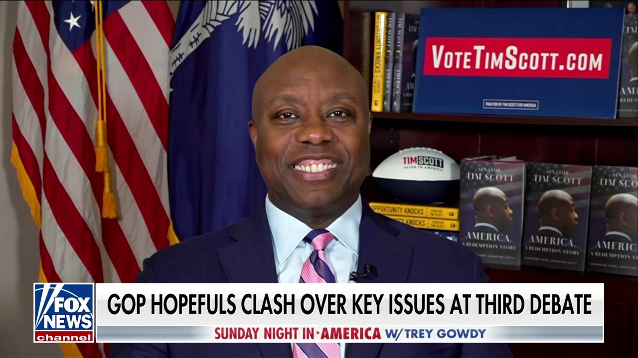 Voters are telling me 'not now': Tim Scott