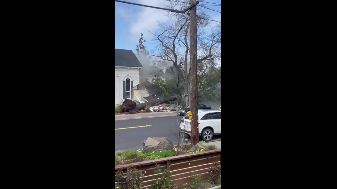 Large tree crushes building due to strong winds