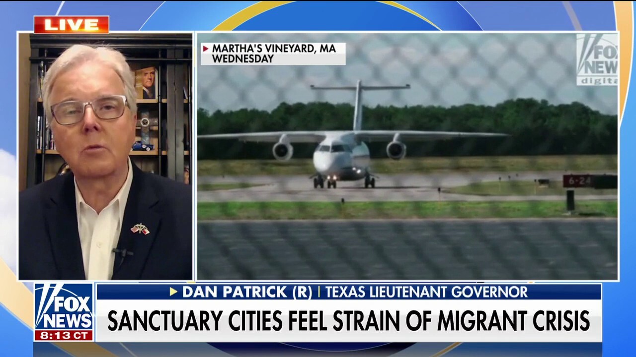 US is in a ‘state of emergency’ along southern border: Texas lieutenant governor