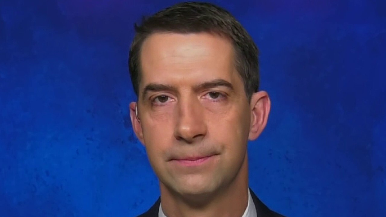 Dems want to use COVID-19 pandemic as 'an excuse' to fulfill 'longstanding liberal priorities': Cotton
