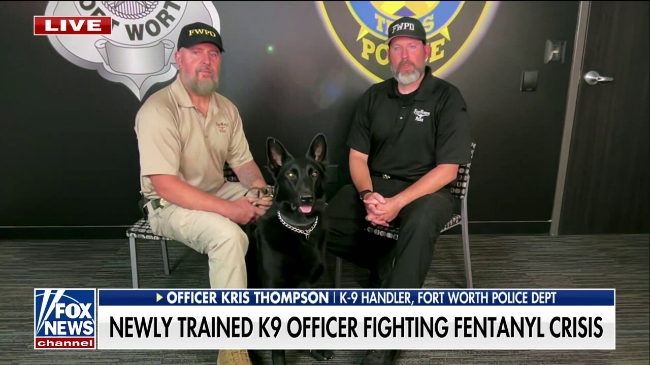 Rescued German Shepherd mix becomes K9 officer
