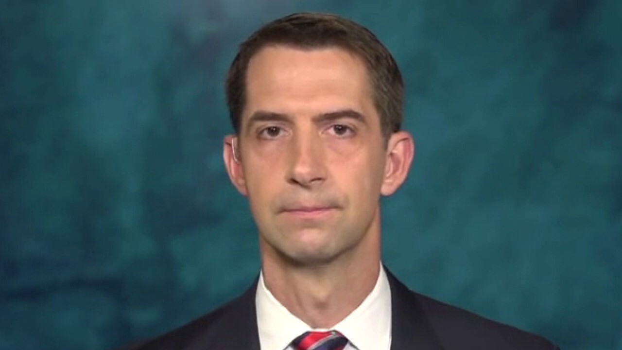 Cotton: Kabul attack was a 'direct result' of Biden's decisions
