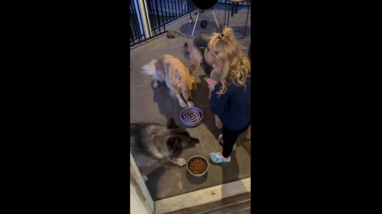 Малко дете от Тексас помага при храненето на семейни кучета, моли ги да „каже милост“, преди да ги пусне с „амин“