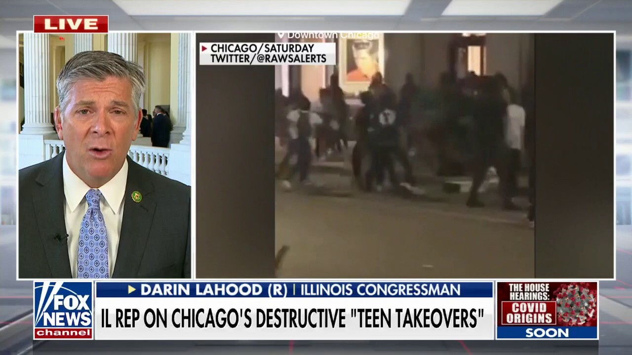 Illinois lawmaker rips Democrats after 'Teen Takeover' terrorizes Chicago: 'An embarrassment'